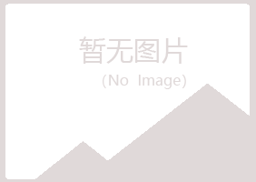 鹤岗夏槐采矿有限公司